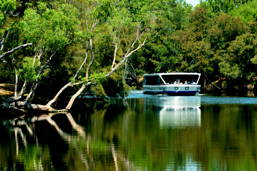 swan valley river cruise and wine tasting