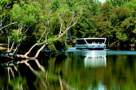 swan valley wine tour bus